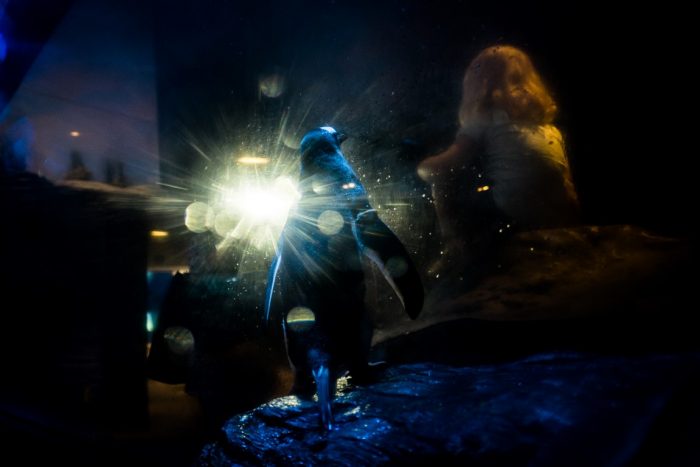 Under 21s finalists! Under 21s finalists!