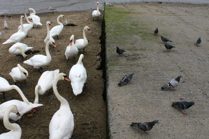 Danielle Houghton to judge Single Photo contest Danielle Houghton to judge Single Photo contest