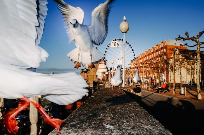 Max Slobodda’s talk Max Slobodda’s talk