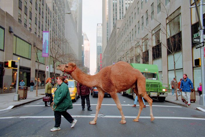 Melanie Einzig joins LSPF Melanie Einzig joins LSPF